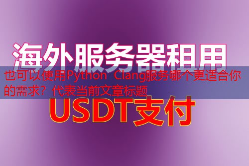 Python Clang服务哪个更适合你的需求？