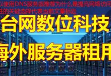 DNS服务器推荐为什么是提高网络访问速度和安全性的关键选择-韩国服务器