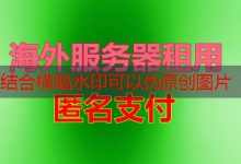 VLC FTP推荐指南 2025年最新购买信息分析-韩国服务器