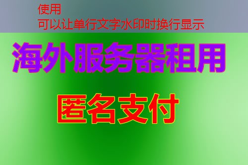 DDNS-Go 教程 助你轻松实现动态域名解析与访问设置