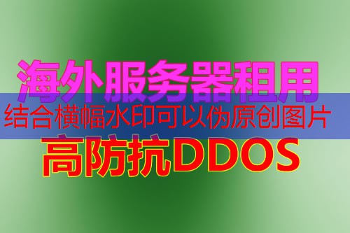 域名反查IP揭示网站背后的真实身份与信息
