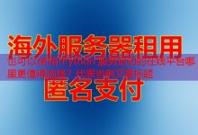 IPython 服务启动的在线平台哪里更值得选择？-韩国服务器