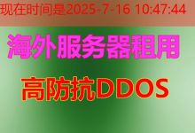 Doh Pub 是 什么以及为什么它成为提升网络安全和隐私的重要技术-韩国服务器