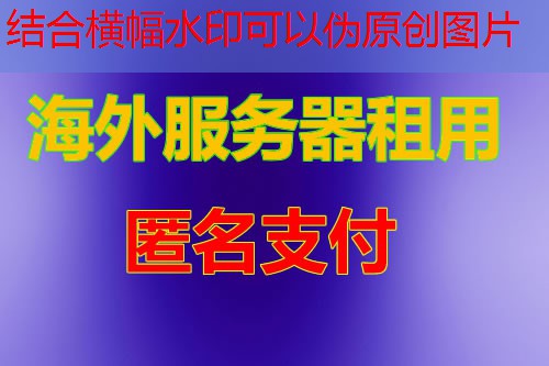 9929 线路哪个服务商提供最佳性能与稳定性