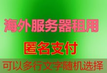 Python虚拟机在中国市场的主要提供商有哪些?-韩国服务器