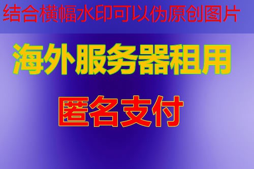 如何安装和使用国内便宜的云服务器？详细指导!