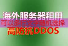 VPS商家:高速稳定的虚拟专用服务器解决方案-韩国服务器
