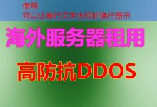 PS安装包如何在服务器或VPS上顺利安装最新版本的Photoshop-韩国服务器