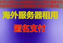 Java动态数组为什么在现代编程中成为灵活存储解决方案的首选-韩国服务器