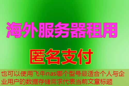 飞牛nas哪个型号最适合个人与企业用户的数据存储需求