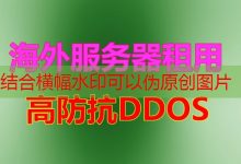域名反查IP揭示网站背后的真实身份与信息-韩国服务器