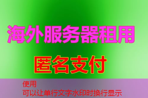 使用 WHOIS 查询服务获取 ARIN 相关域名信息的方法是什么？