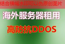 ASN是什么及其在互联网中的重要作用和应用解析-韩国服务器