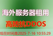 一个域名可以通过多个IP和WebSocket TLS提升网站性能及安全性吗-韩国服务器