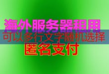 使用 WHOIS 查询服务获取 ARIN 相关域名信息的方法是什么？-韩国服务器