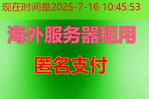 Python虚拟机在中国市场的主要提供商有哪些？