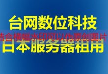 ng 域名在中国市场的优势及推荐服务商-韩国服务器