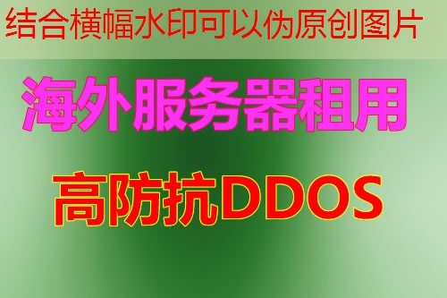 IPLC和IEPL区别的详细分析与选择建议