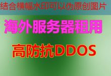 ai 训练 显卡快速入门与实用技巧分享-韩国服务器