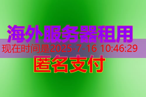 如何安装和使用DNS解析工具提升网络性能