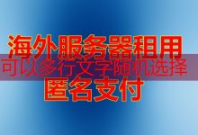 ASIC是什么适合哪些应用场景哪个更具优势-韩国服务器