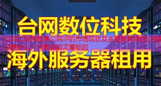 租房公网IP的市场现状及主要服务商的价格特点是什么？