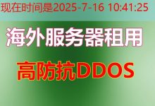 Golang 启动时执行自定义脚本的云服务器选型与价格分析-韩国服务器