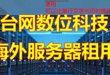 租房公网IP的市场现状及主要服务商的价格特点是什么?-韩国服务器
