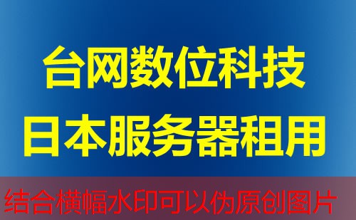 by66636 com提供哪些服务器租用服务和增值选项？