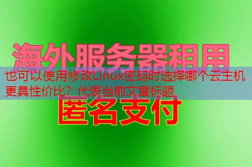 修改Linux密码时选择哪个云主机更具性价比？