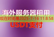 Python Clang服务哪个更适合你的需求？-韩国服务器