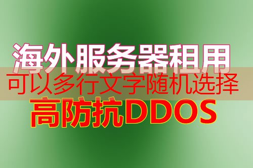 模型训练过程中的关键步骤在哪里？