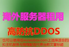 在wuwubox.com上选择适合的虚拟主机服务与推荐配置-韩国服务器