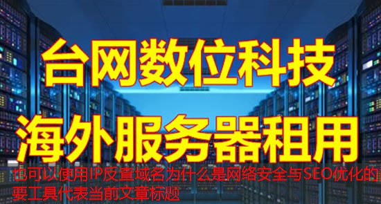 IP反查域名为什么是网络安全与SEO优化的重要工具