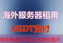 Postgres 查看所有数据库为什么如此简单且高效-韩国服务器