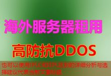 IPLC和IEPL区别的详细分析与选择建议-韩国服务器