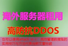 attach in r： 高效管理数据集的实用技巧与方法-韩国服务器