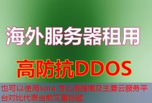 sora 怎么用指南及主要云服务平台对比-韩国服务器